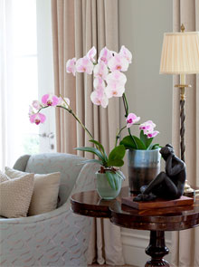 orchid-by-design-feat-image
