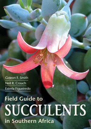 what to grow in winter succulent guide