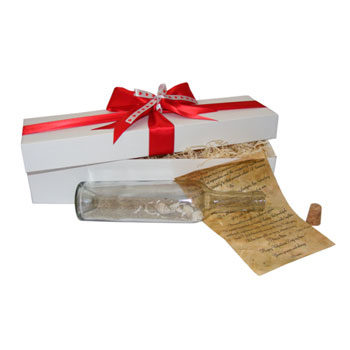 Valentine's day message in a bottle gift 