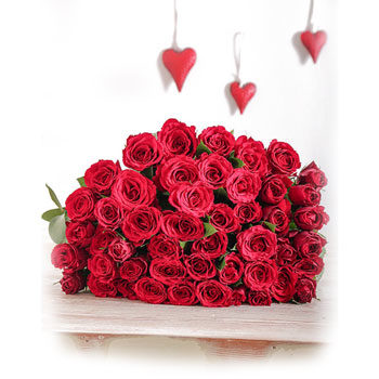 Valentine's day red roses gift 