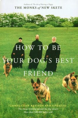 How to be your dog's best friend
