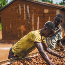 Cocoa Life: Improving The Lives Of Farmers