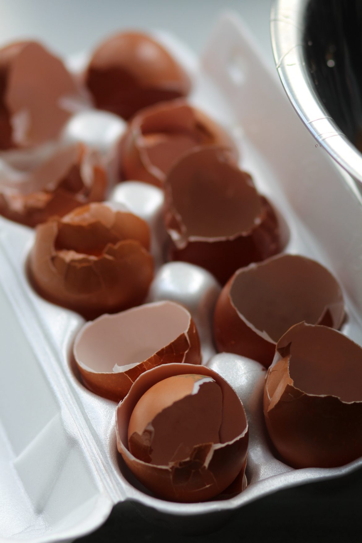 HACKS: clever uses for household items you would normally throw away