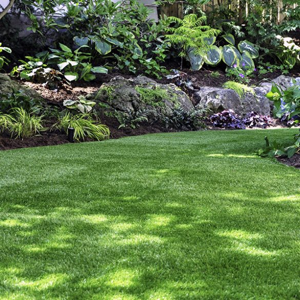 5 Quick And Easy Tips For A Beautiful Weed-Free Lawn