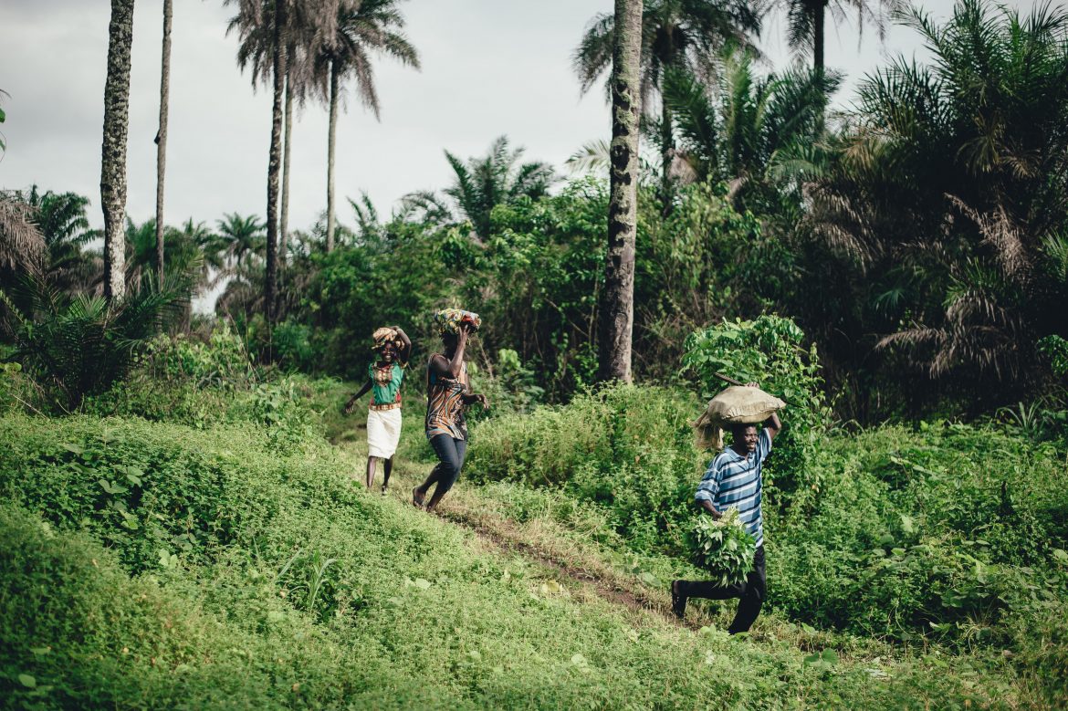 Cadbury: On Their Sustainability Project, Cocoa Life