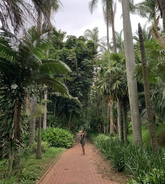 garden day sa durban botanical gardens