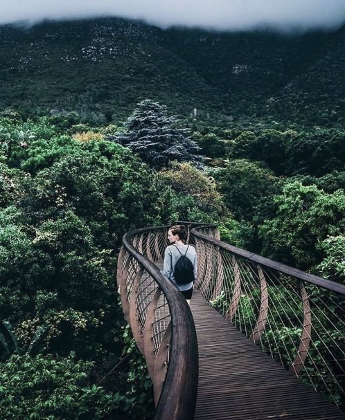 garden day sa boomslang kirstenbosch