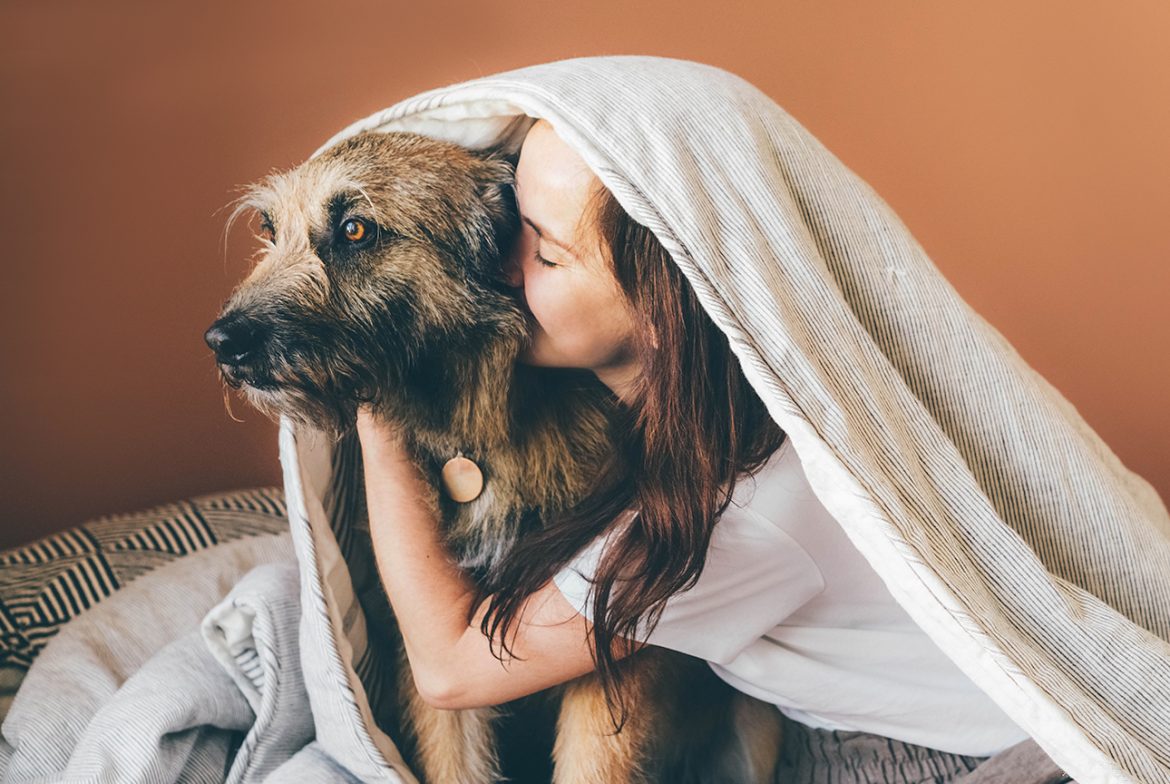 Who keeps pets in a divorce?