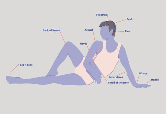 7 Erogenous Zones Of A Female