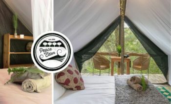a glamping tent in the middle of the forest