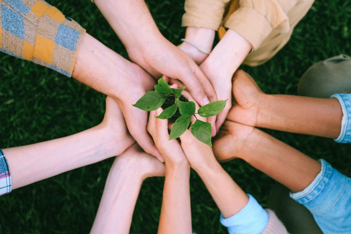 6 simple ways to live greener