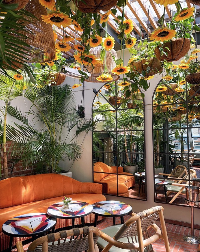5 cafes in Cape Town shrouded in flowers and greenery