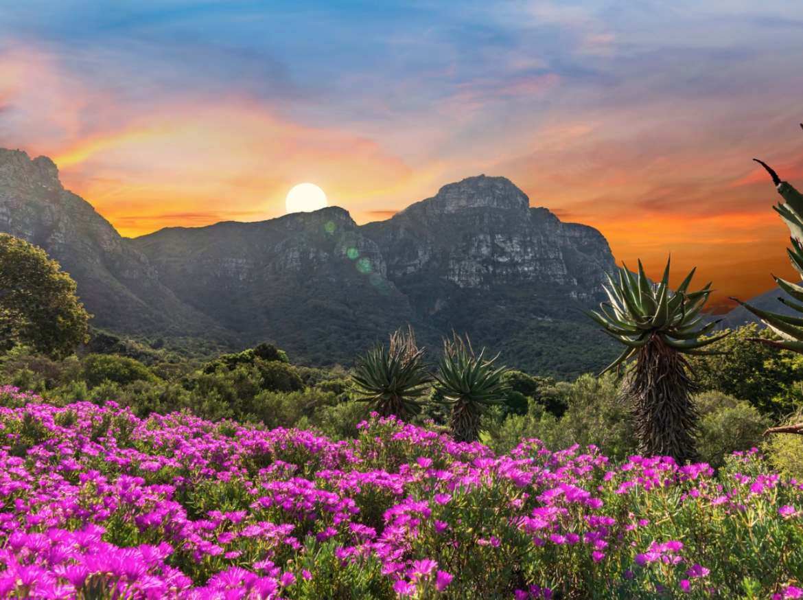 Kirstenbosch National Botanical Gardens receives global best of the best award