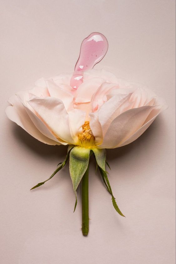 Clean Beauty in SA: The good, the bad and the hectic