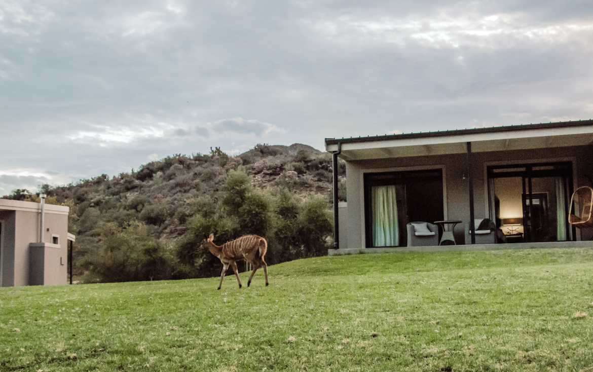 Experience The Wildehondekloof Private Game Reserve
