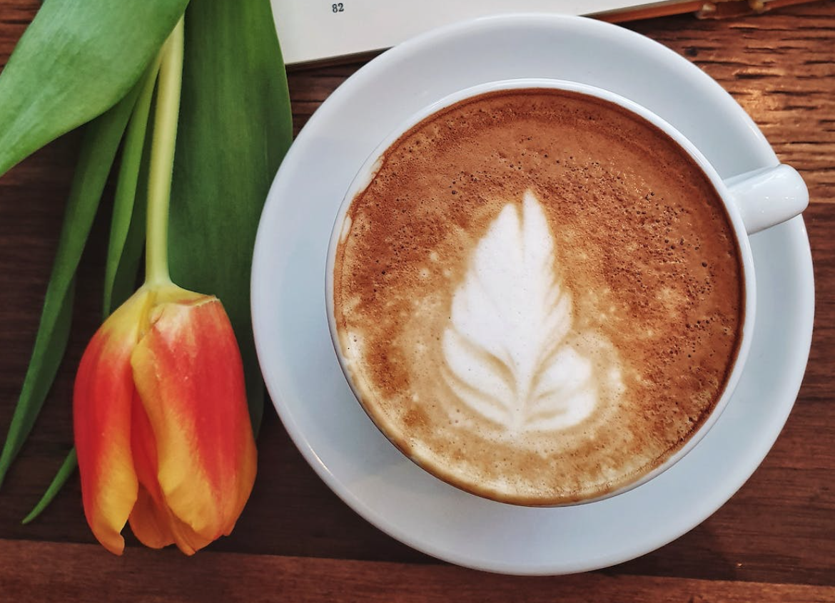 Spilling the beans on the best ways to make coffee