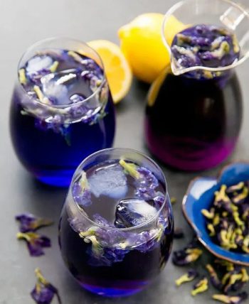 butterfly pea tea in a cup