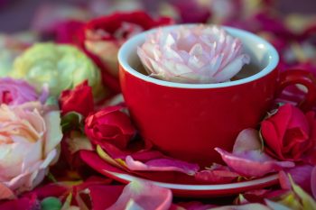 rose petal tea