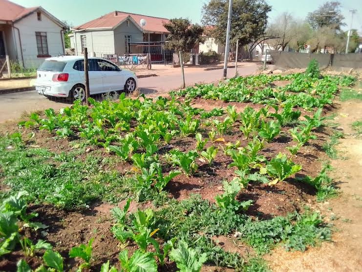 Two local women cultivate a community garden from littered municipal land