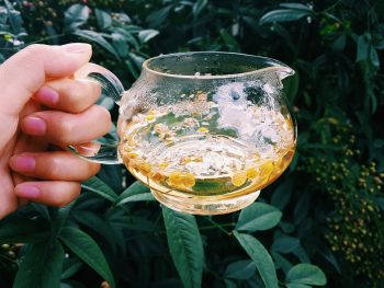 a pot of chamomile tea