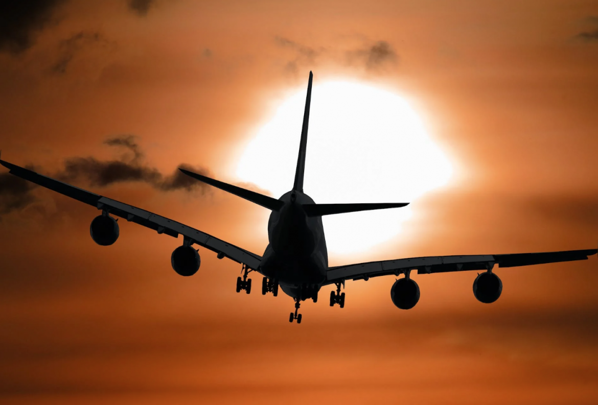 American woman goes viral after being shocked by a South African flight