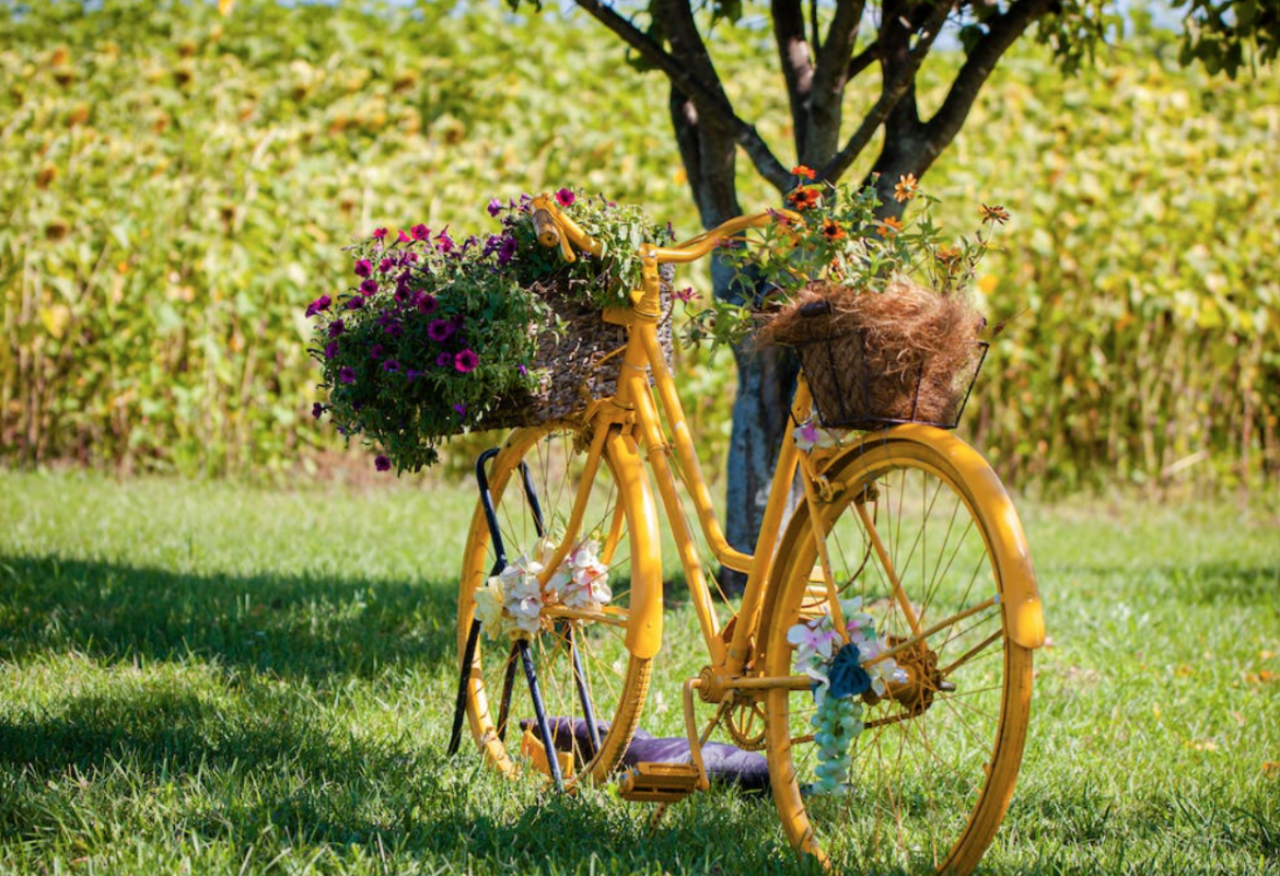 It’s Garden Day! Here’s how to celebrate