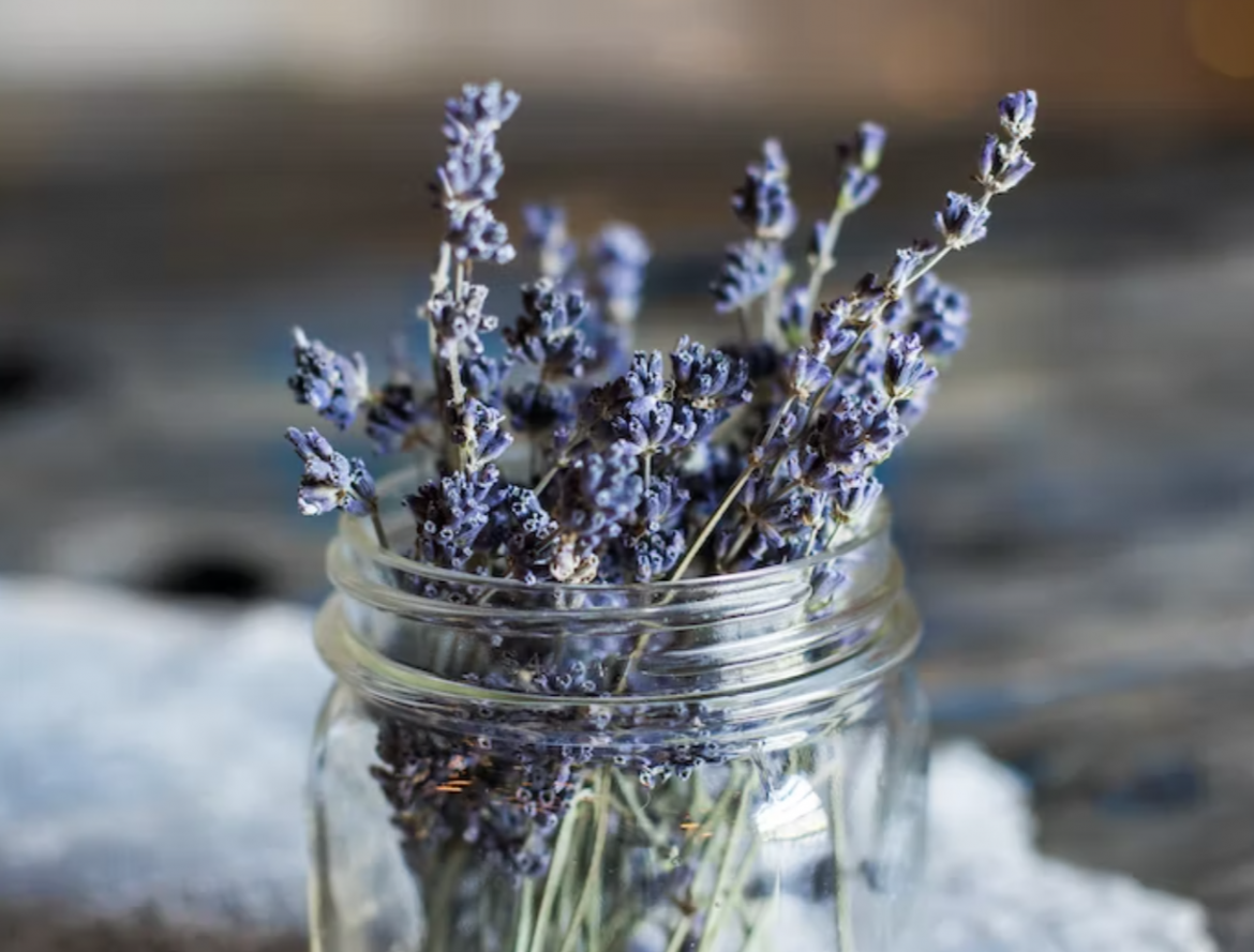 4 plants that can soothe you to sleep