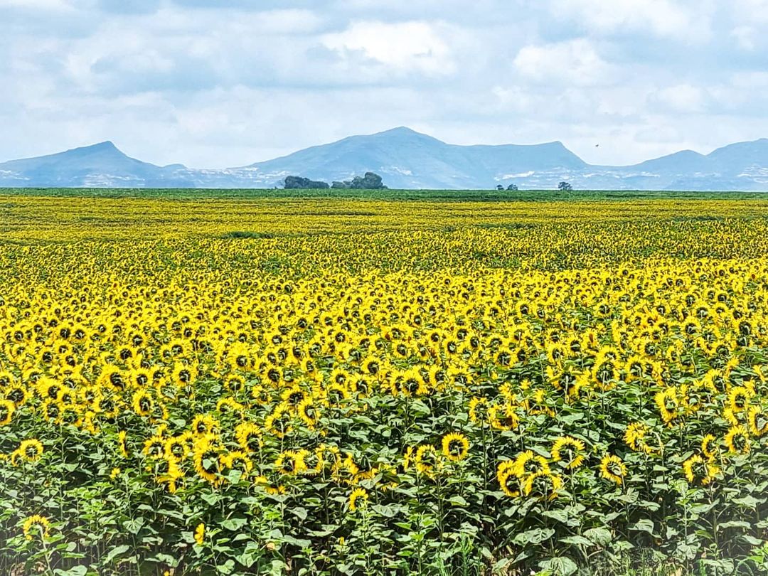 Four charming South African towns to plan your next escape to