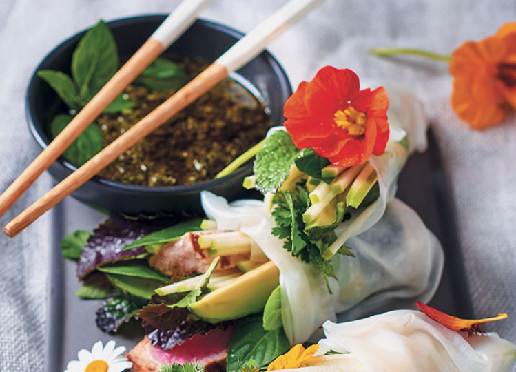 The tuna spring rolls recipe that is as fresh as the season