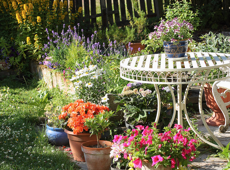 How to your make your garden a haven for summer