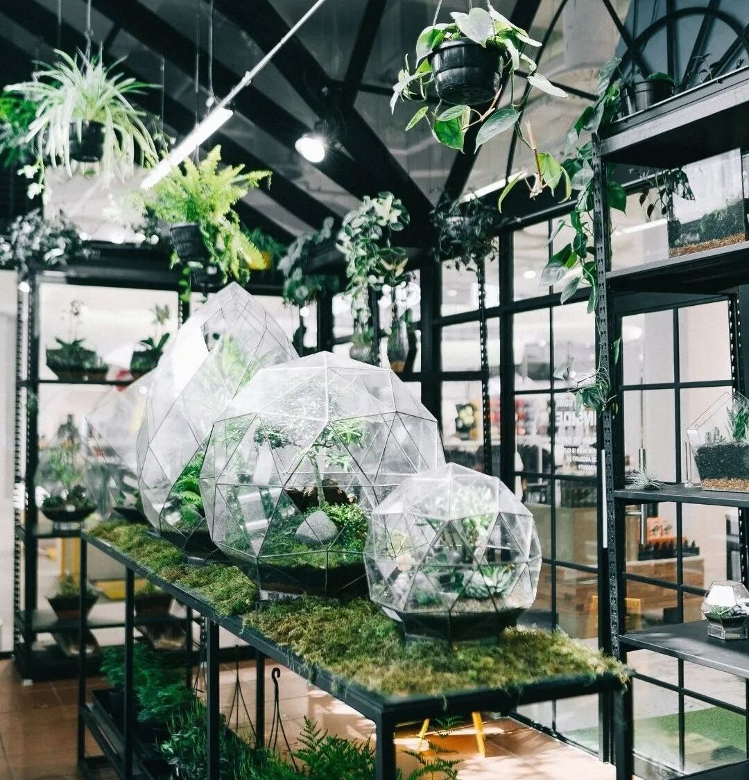 Magical terrariums are trending, here’s where to find them locally