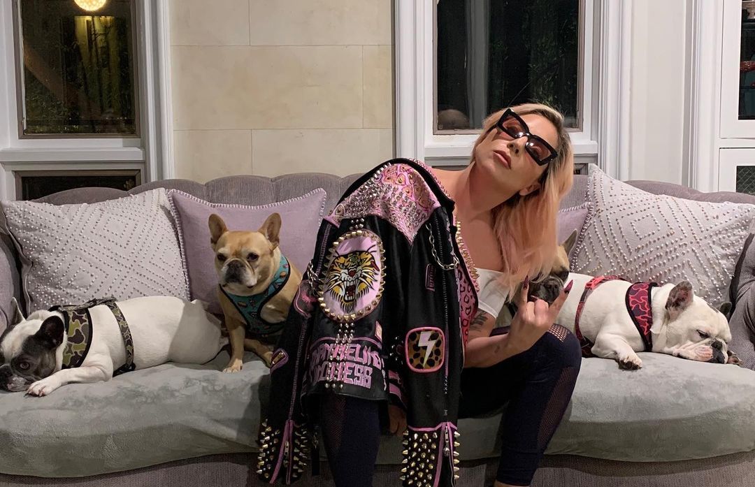Gunman gets a 21 year prison sentence for shooting Lady Gaga’s dog walker