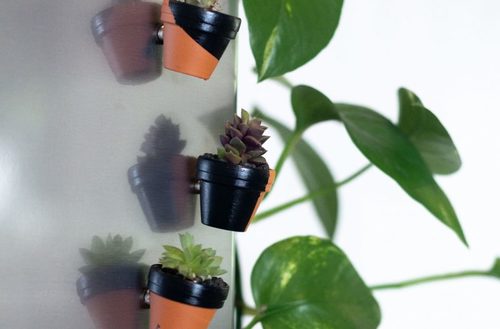 These succulent fridge magnets are so cute and they’re easy to make!