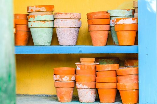 Using terracotta in the garden