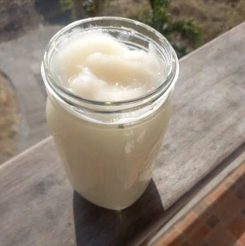 Introducing Sea Moss: The Superfood