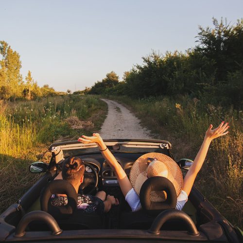 Embark on a road trip that visits every national park in SA