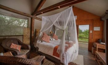a safari lodge room that opens up to the bush