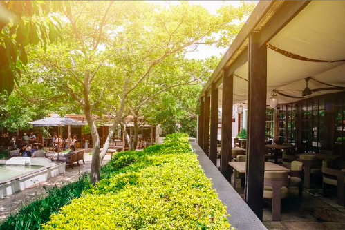 Travel for fine dining – visit these wine farms for an exquisite experience