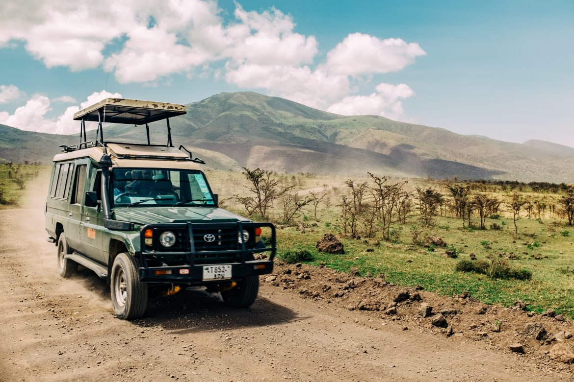 4 winter safari specials you don’t want to miss