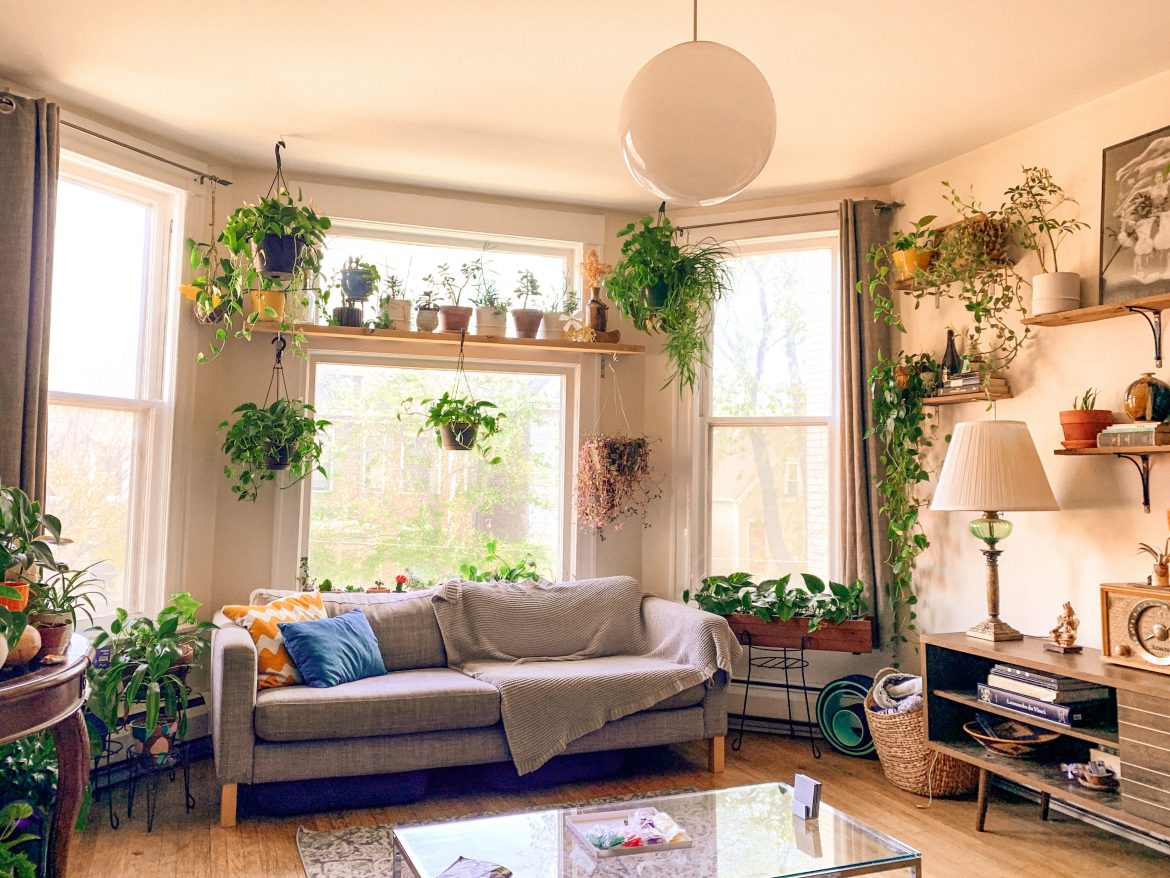 Things to consider when decorating with plants