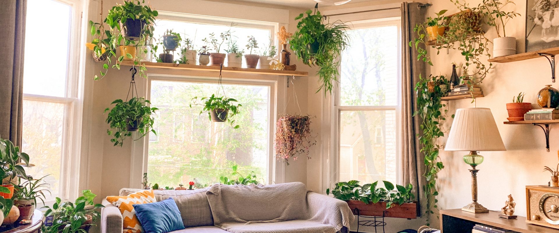 a living room decorated with indoor plants