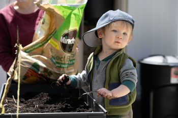 a little boy gardening