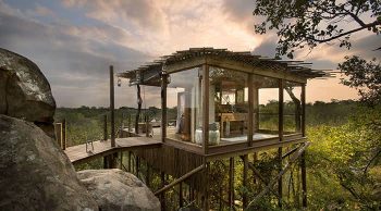 luxury treehouse accomodation