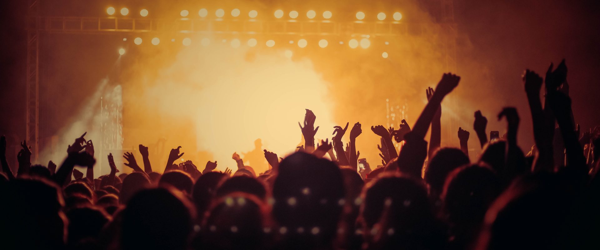 a crowd at a live concert