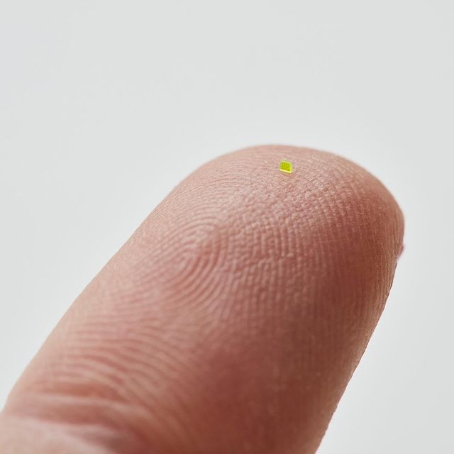 MSCHF releases world’s tiniest handbag, as small as a crumb…