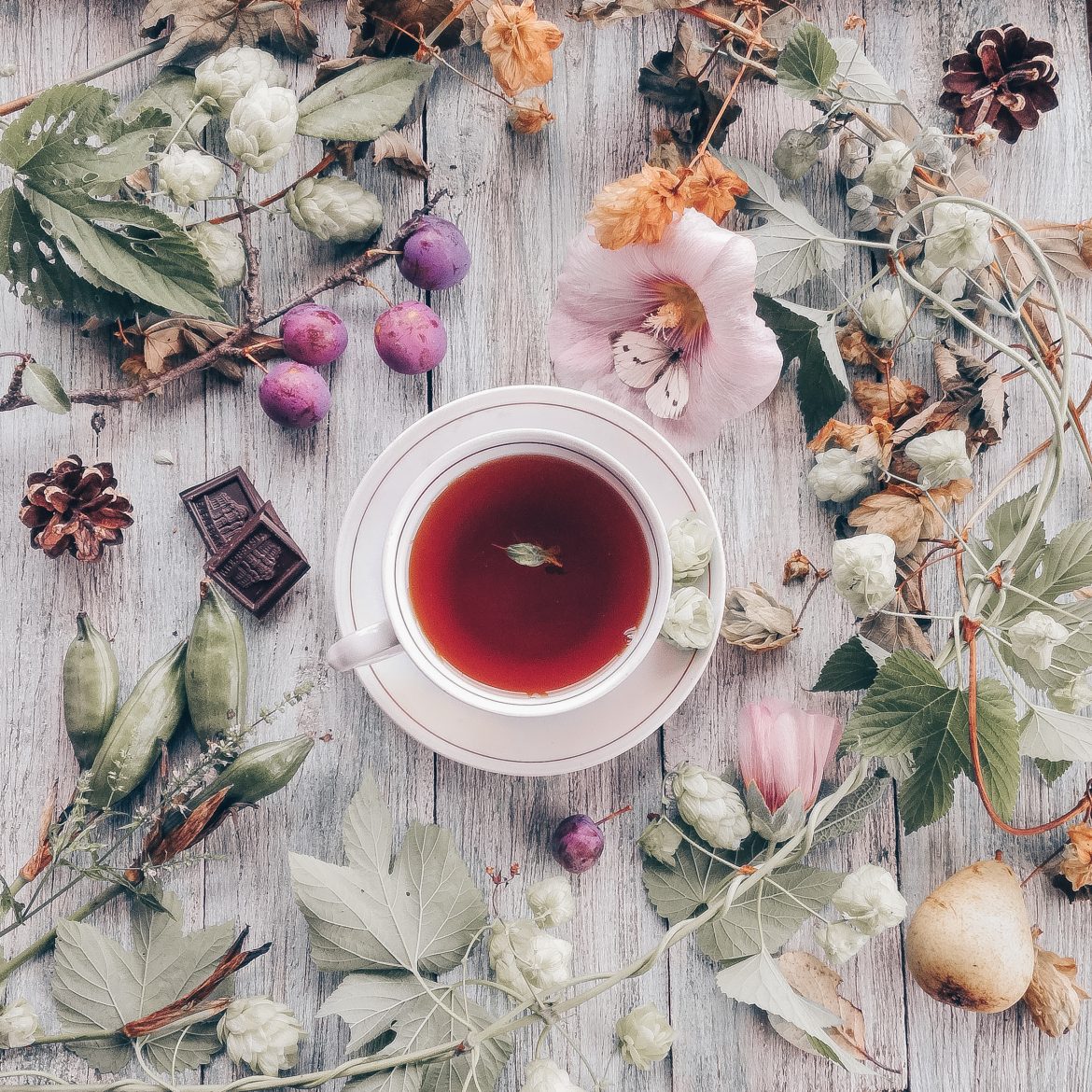 Wind down with your own, homemade herbal tea