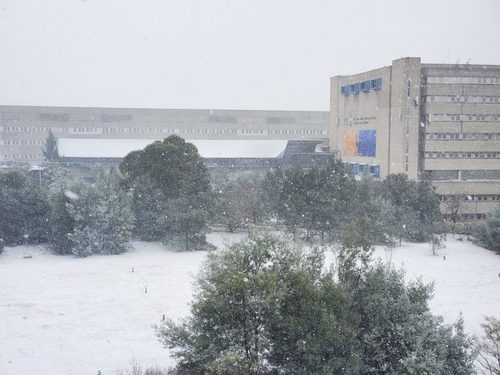 SEE: It’s snowing! Johannesburg becomes a winter wonderland…