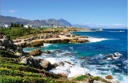 COME WITH US: A day trip to Hermanus with City Sightseeing