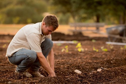 Make instant compost with your weeds!