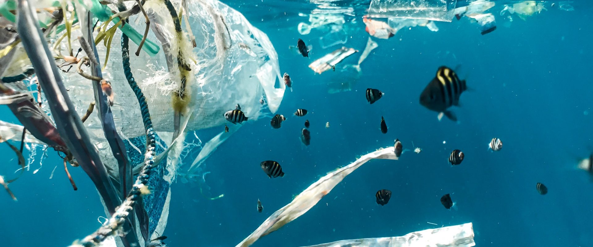 plastic in the ocean